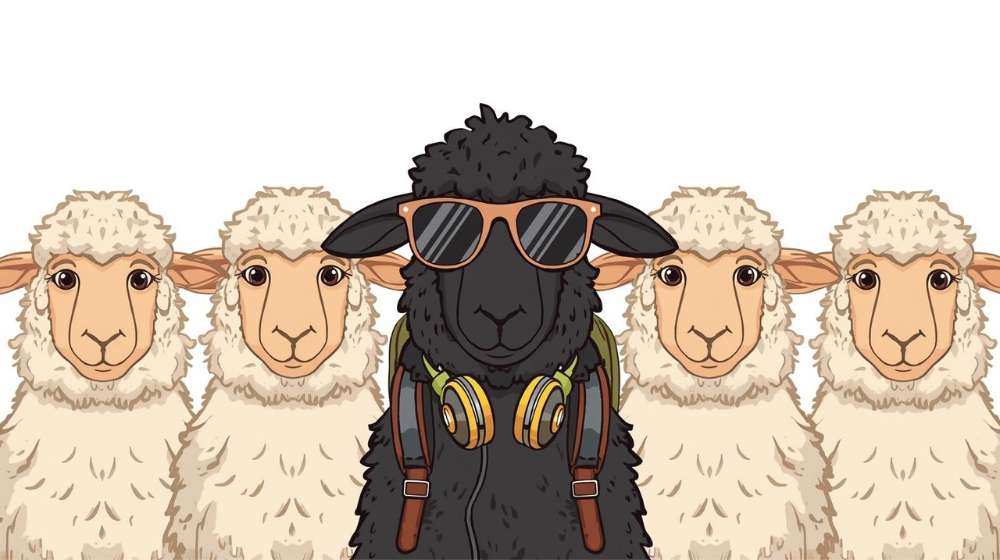 Schaf mit Sonnenbrille und Kopfhörern